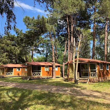 L'oso * Porto-Vecchio (Corsica)