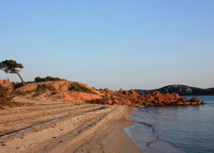 L'oso Porto-Vecchio (Corsica)