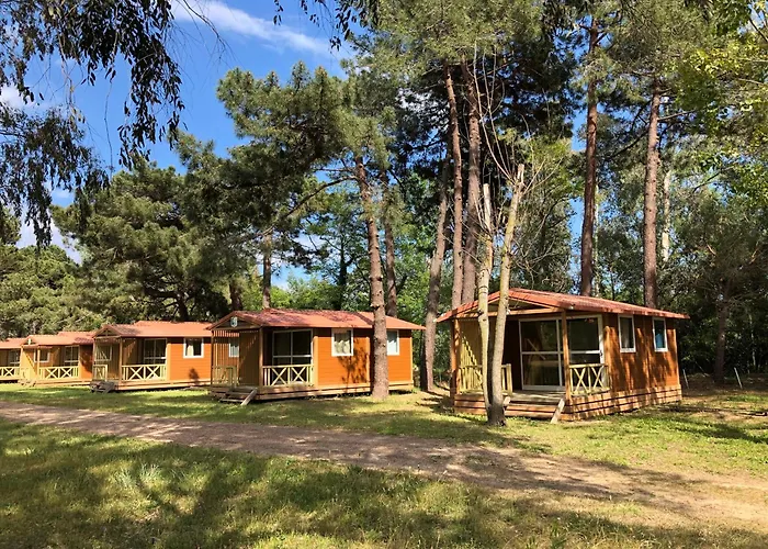 L'oso * Porto-Vecchio (Corsica)