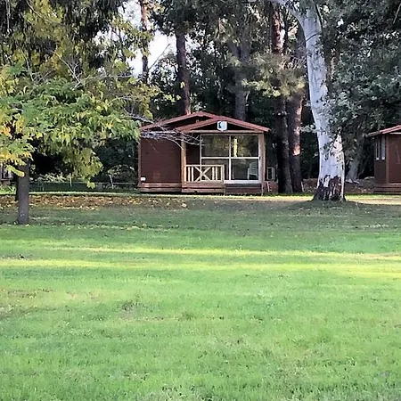 Campsite L'oso *
