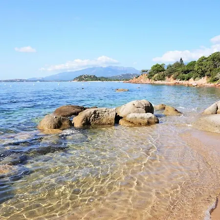 L'oso Parque de Campismo Porto-Vecchio (Corsica)
