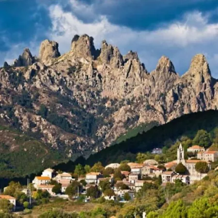 L'oso Parque de Campismo