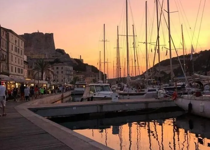 L'oso * Porto-Vecchio (Corsica)