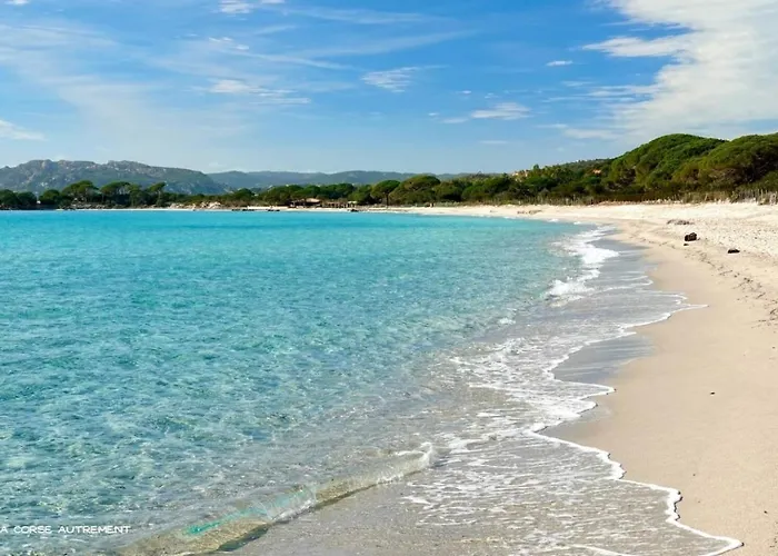 Parque de Campismo L'oso *