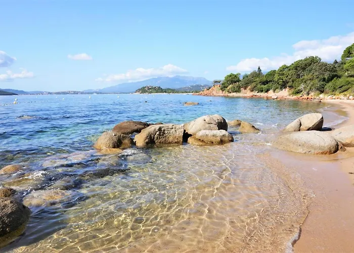 L'oso Camping Porto-Vecchio (Corsica)