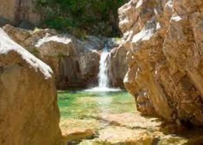 L'oso * Porto-Vecchio (Corsica)